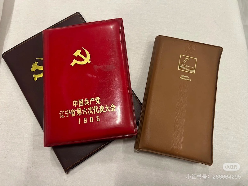 淡豹偶然翻开外公的笔记本，也翻开了一页家族的尘封往事