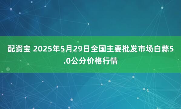配资宝 2025年5月29日全国主要批发市场白蒜5.0公分价格行情