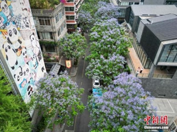 易盛通 多地退出限售，成都选择“分批次”取消路径