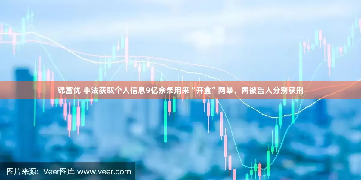 锦富优 非法获取个人信息9亿余条用来“开盒”网暴，两被告人分别获刑